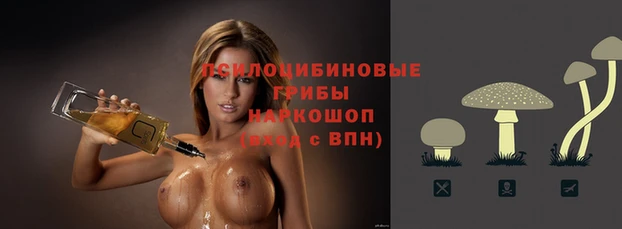 дмт Баксан