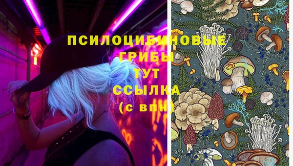 не бодяженный Балахна