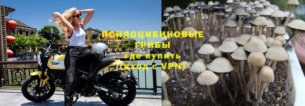 не бодяженный Балахна