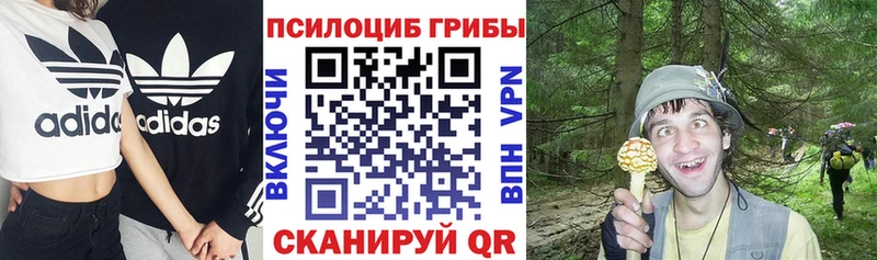 kraken как зайти  купить наркоту  Снежинск  Псилоцибиновые грибы MAGIC MUSHROOMS 